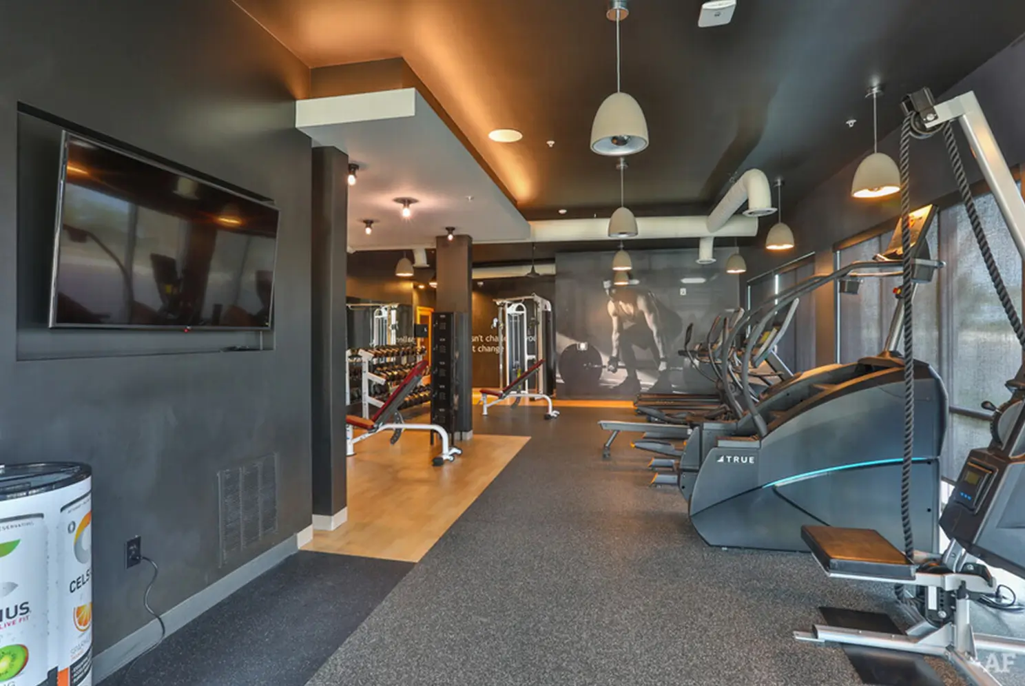 gym